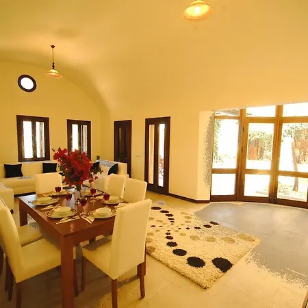 Villa Important Group | Bd411 4 Bedroom Pool Bodrum